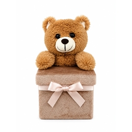 BOX SEMPLICE