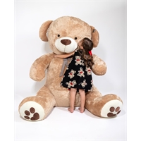 TEDDY